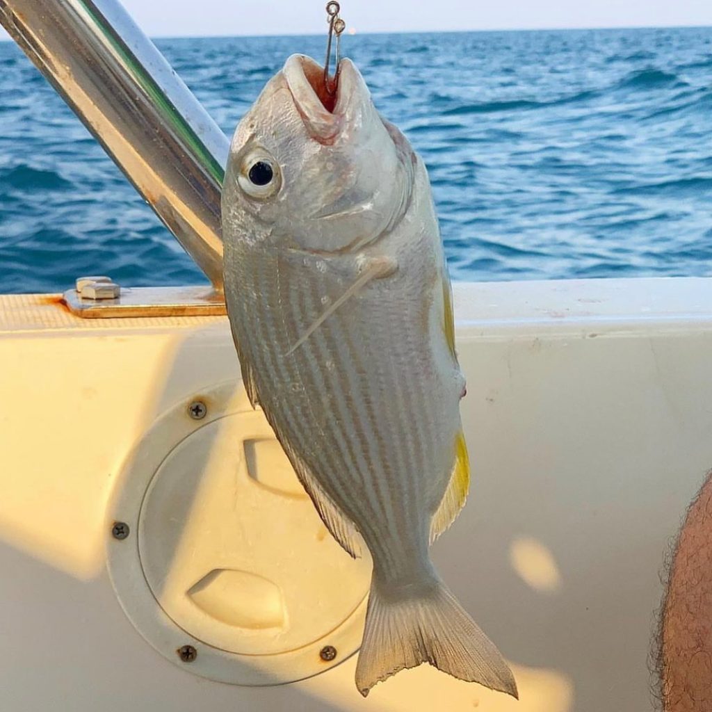 fishing boat rental dubai